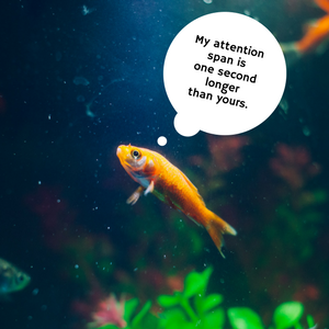 HubSpotAcademy's tweet image. How to Help Your Users Navigate Long-form Content buff.ly/2nbvZO9 via @angela_9