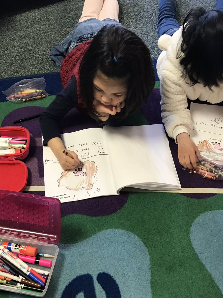 plantekinder's tweet photo. Learning about pigs! #science #omnivores #coolmud #gfwinship #gfschools https://t.co/5GdKK4QrzP