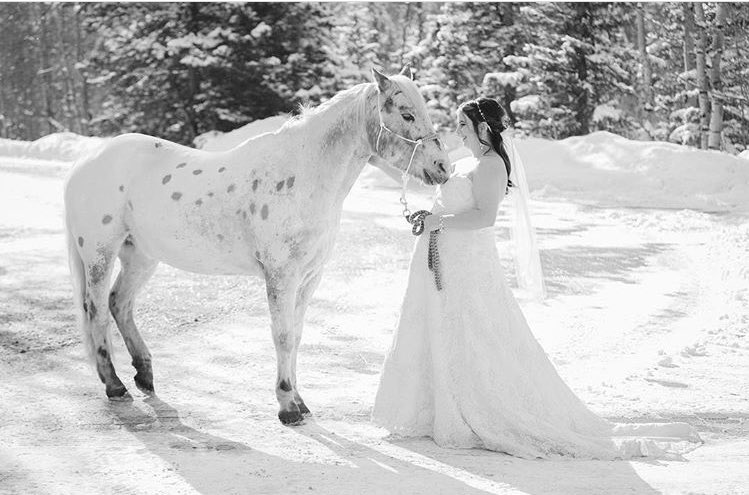 EVStenroos's tweet photo. Thanks for sharing these lovely photos from the #WinterWonderlandWedding for Jessie&amp;Jessie by @NINA_Weddings photos by PMGImage #bridal https://t.co/1I8LnyvbLV