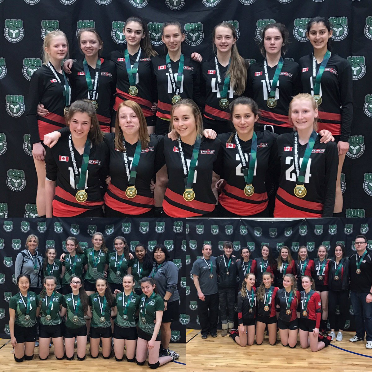 Ontario Volleyball Association tweet media