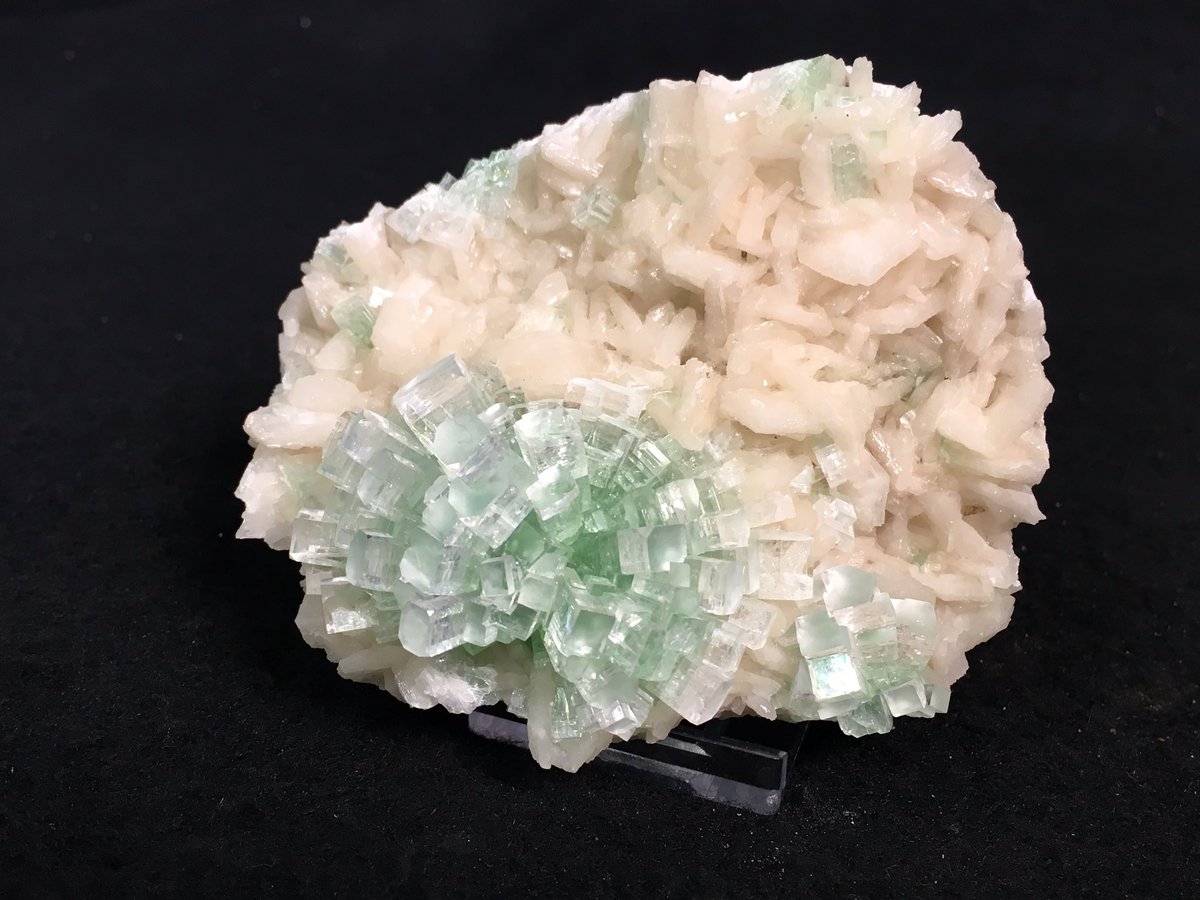 andersonmineral's tweet photo. Apophyllite and stilbite from India. I love the starburst pattern of the #crystal growth. From #TGMS2017. #MineralMonday https://t.co/KPdc9YM9wf