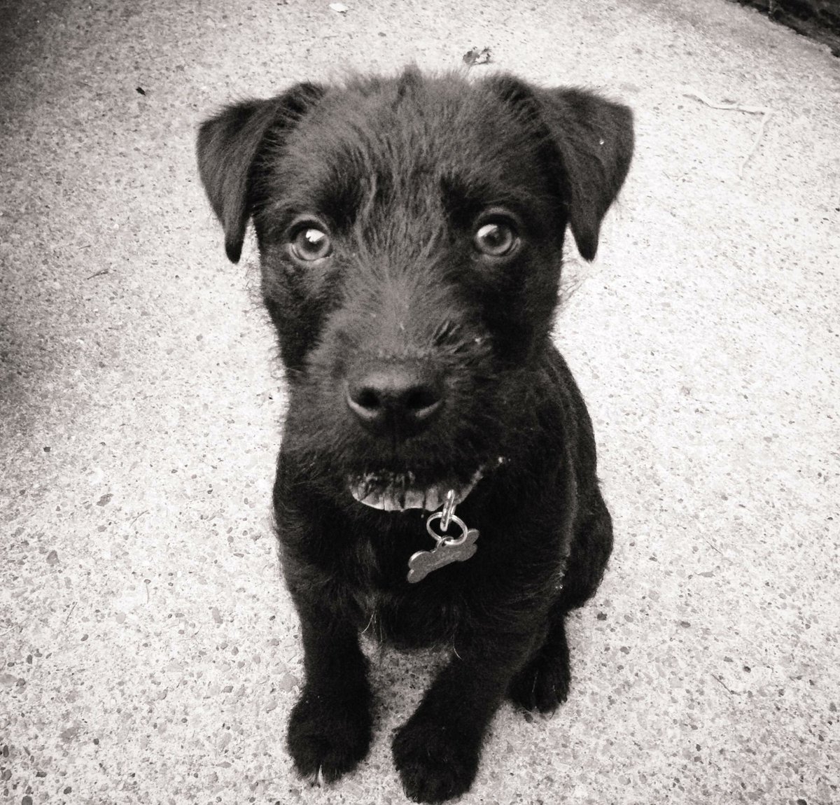 Baxter_Boo_'s tweet image. This is me exactly 4 years ago today