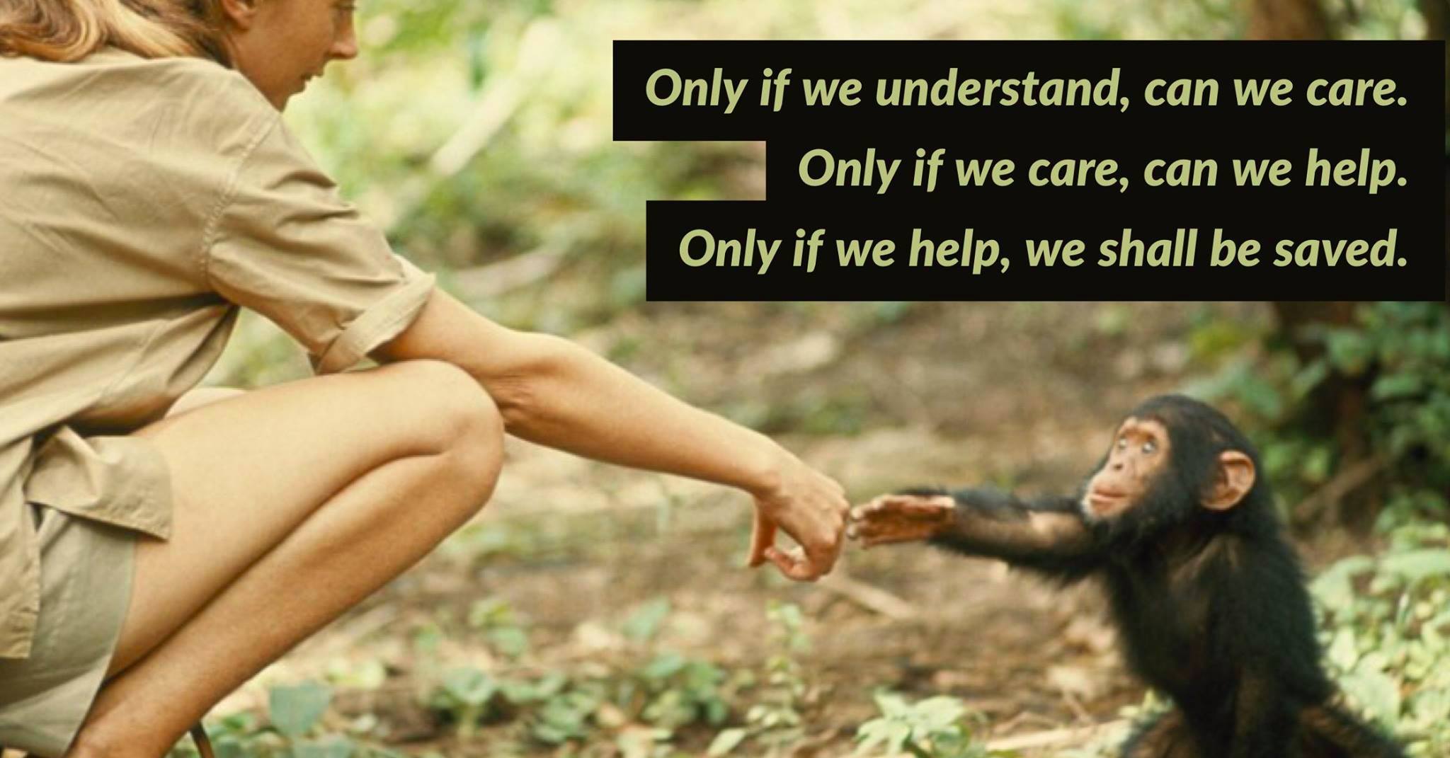 Happy Birthday to Jane Goodall! Check out the Jane Goodall Institute  