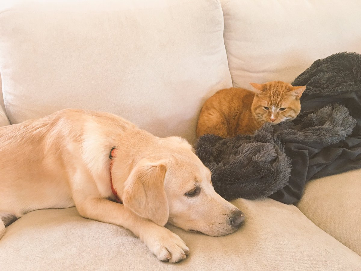 shanedawson's tweet photo. they're friends :,) https://t.co/3UWiIjUH9D