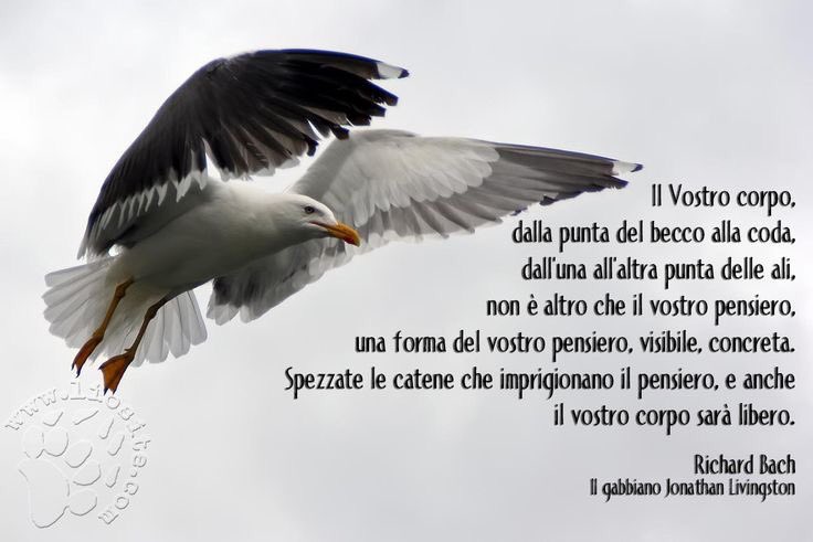 Il vostro corpo... non è altro che il vostro pensiero, una forma del vostro pensiero visibile, concreta. #Bach #frasibelle #frasilibri frasi