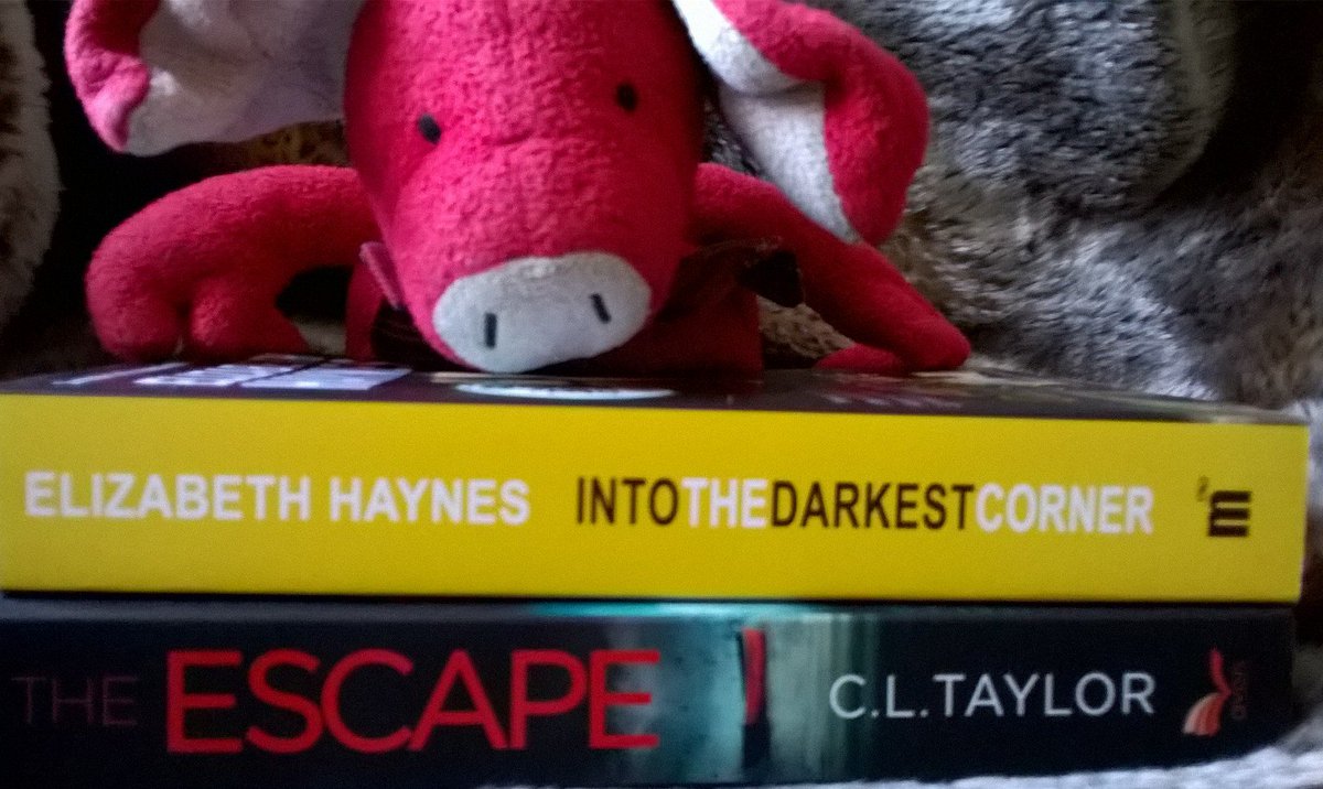 theliterarypig's tweet photo. Treated myself at #Writebythebeach2 to @Callytaylors's latest & @Elizjhaynes @MyriadEditions. LitPig has already claimed them! #amreading https://t.co/EbUnvs5r8X