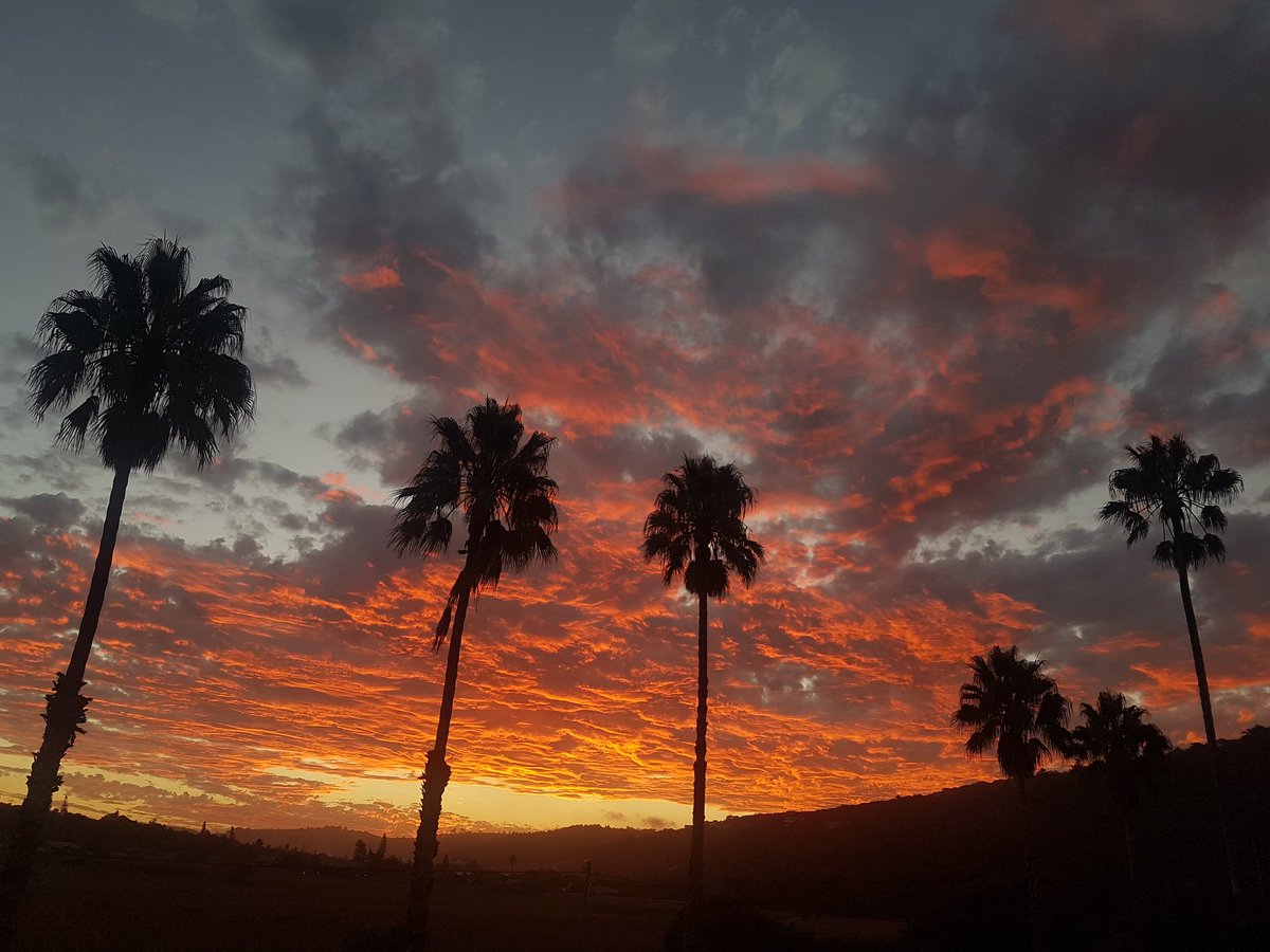 Gorgeous sunset at #EdenAdventures in #Wilderness this evening