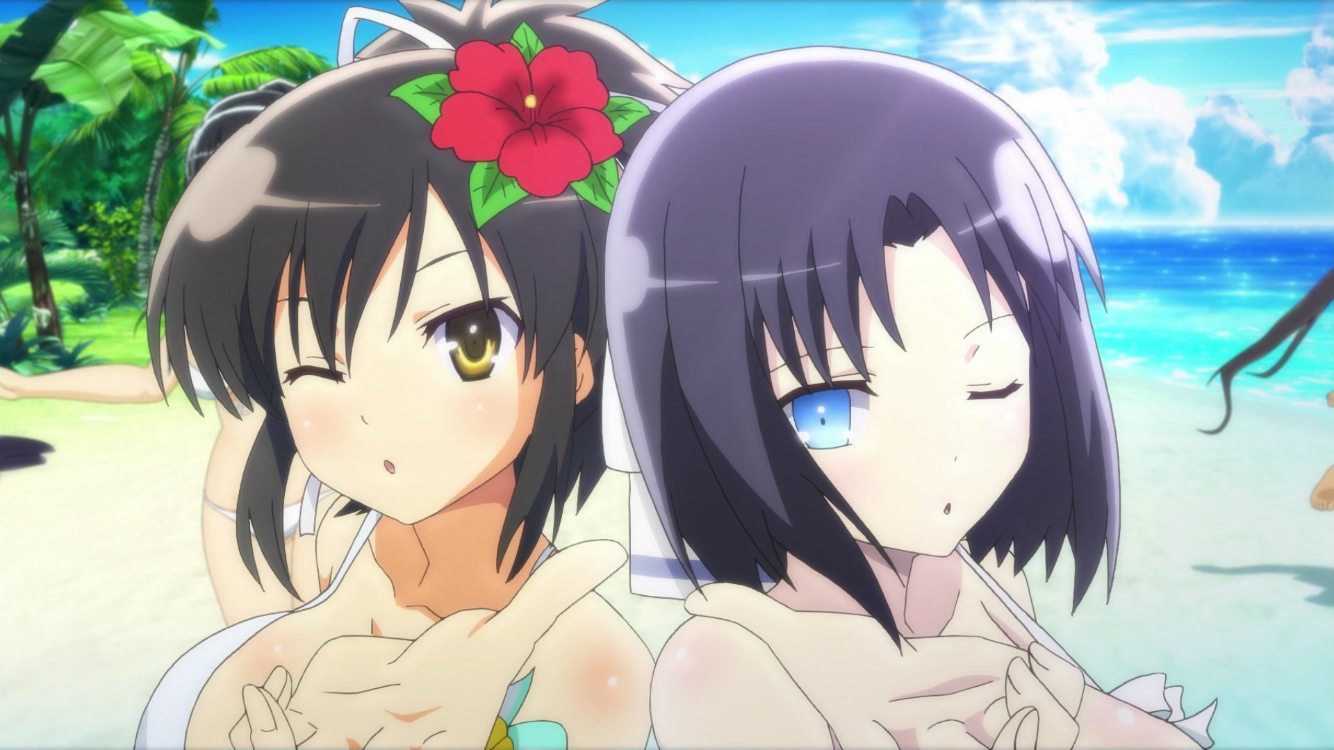 XSEED Announces Naughty Senran Kagura Peach Beach Splash No Shirt, No  Shoes, All Service Edition