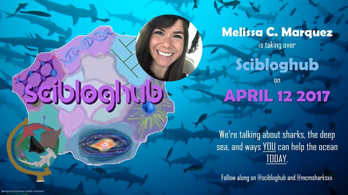 mcmsharksxx's tweet photo. I'll be taking over #SciBlogHub on 12th of this month! I'm getting some tweets ready for the big day and I'm SO EXCITED. https://t.co/j0VcjyWxTz