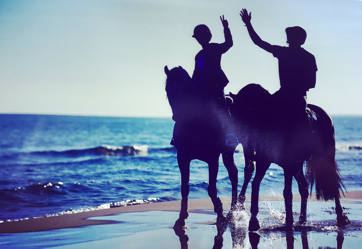 CEdwards825's tweet photo. #Beach #days #Spain #horses https://t.co/eQz4MzJrpx