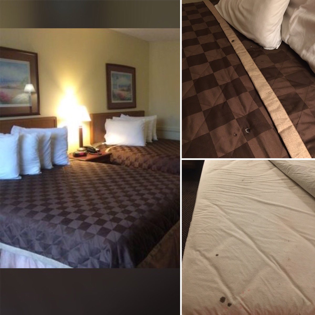 djohnson1319's tweet photo. Aweful experience with Budget Inn Columbus this past weekend! Booked through @Expedia online. Pics say enough. https://t.co/WOFQk7Z1fG