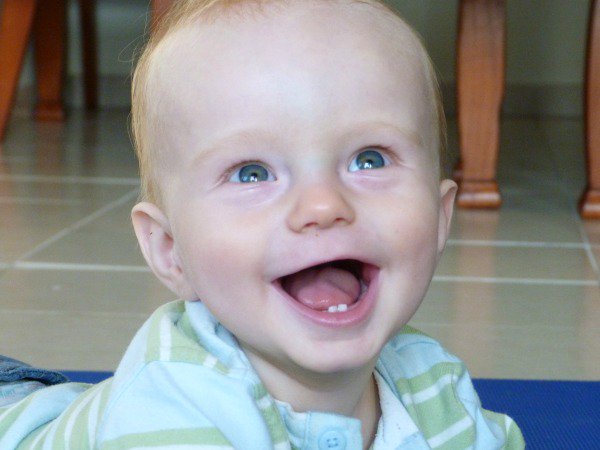 Laura_BabyKicks's tweet photo. When a photo brings it all back - reliving the teething age - along with top tips from Nelsons #Teetha @tots100

https://t.co/B6u3IvABnn https://t.co/PQ7bPKQ43e