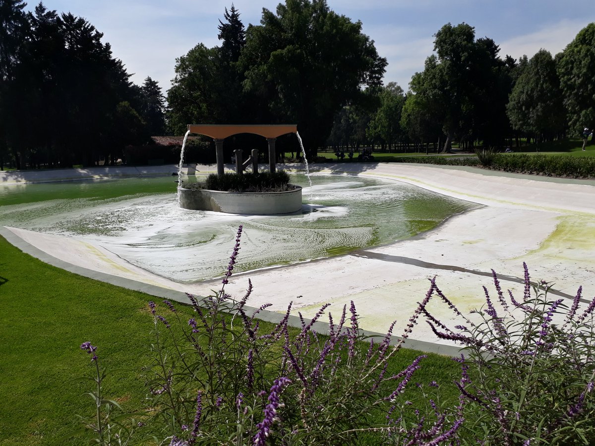 Mucha suerte a los participantes del XII Torneo de Golf Compostela. Más información en <a href="/infogolf/">Infogolf América</a>. #infogolf