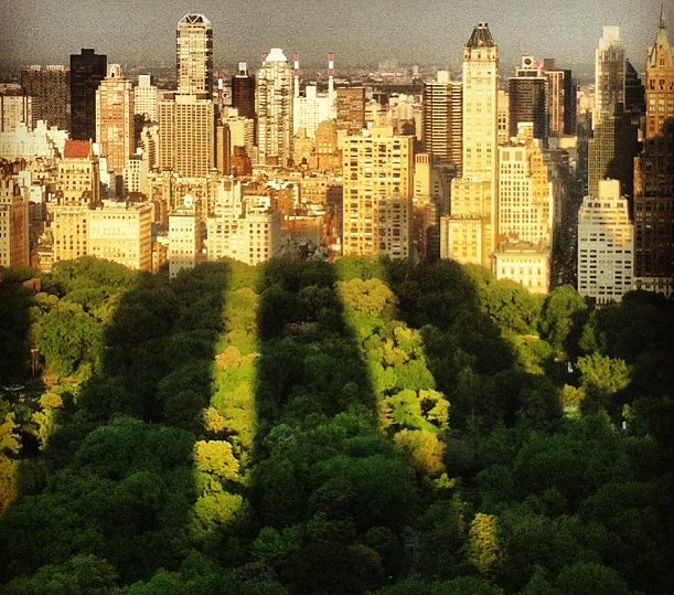 blueoptima_us's tweet photo. Fantastic Opportunity to Join Our Dynamic #Business Development Team in #NewYorkCity: https://t.co/A3XB7fEEGN #NYCJobs #CreatingAmericanJobs https://t.co/Cjw7Tf1Azv