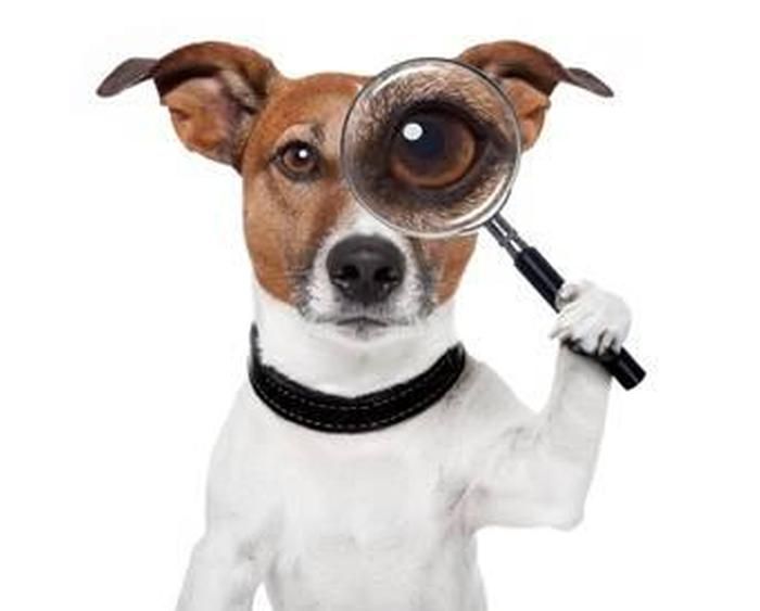 petfoodindustry's tweet photo. #PetFood Institute urges #FSMA readiness in letter https://t.co/cqj7iQUBH7 https://t.co/ZD59zjG6bT