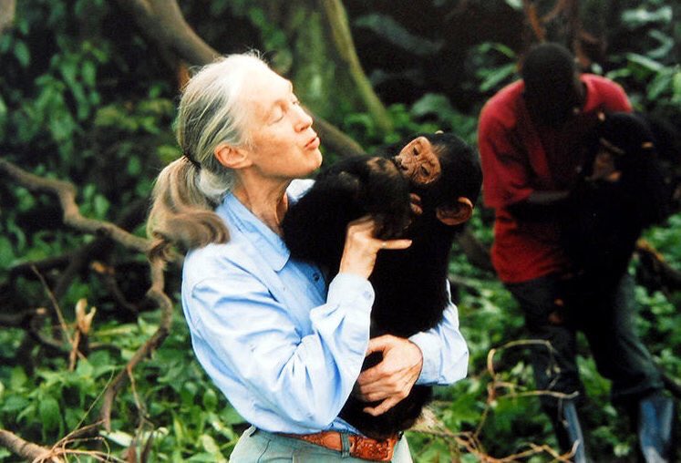 Happy birthday to the extraordinary Jane Goodall  