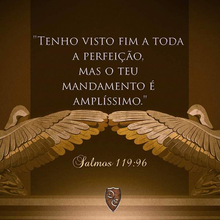 Ulisses Beta #SDV (@ulissesnetofsa) on Twitter photo 