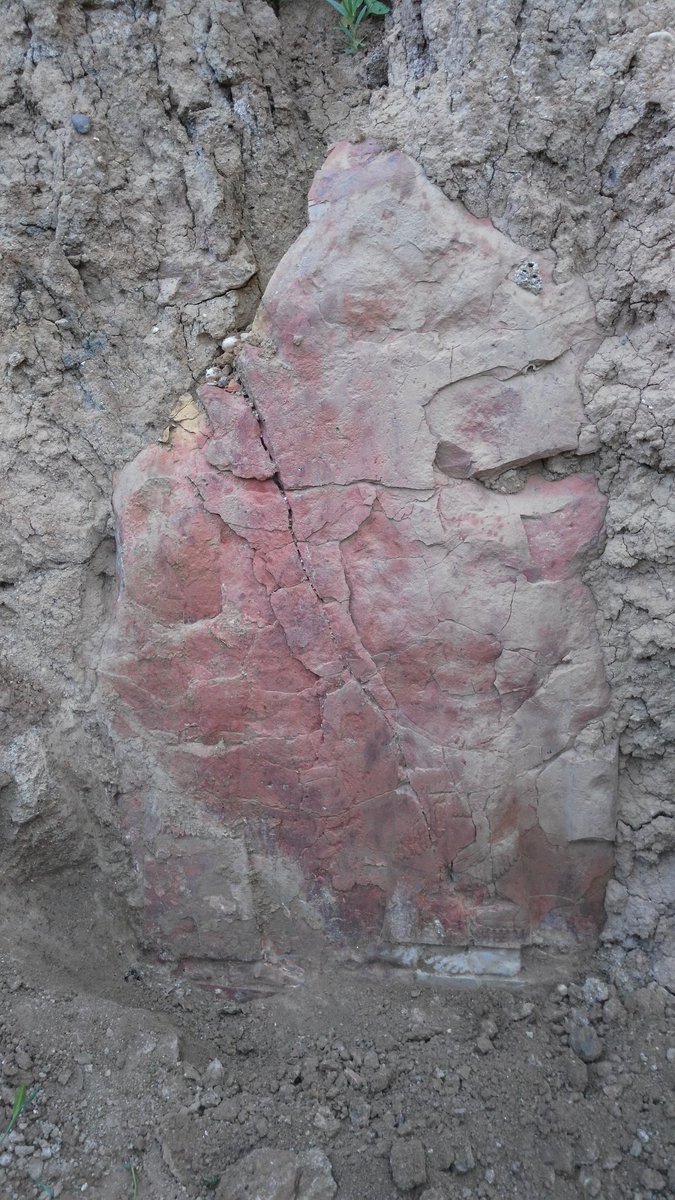 ArchLayla's tweet photo. New and unique sculpture had been appeared after a heavy rain last week in Ishtar temple, Nimrud https://t.co/9yErOuwAnb