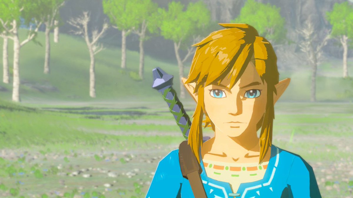 линк из zelda: skyward sword. The legend of zelda: breath of the wild. Zelda 2011. принцесса зельда и темный линк. The legend of zelda: breath of the wild.