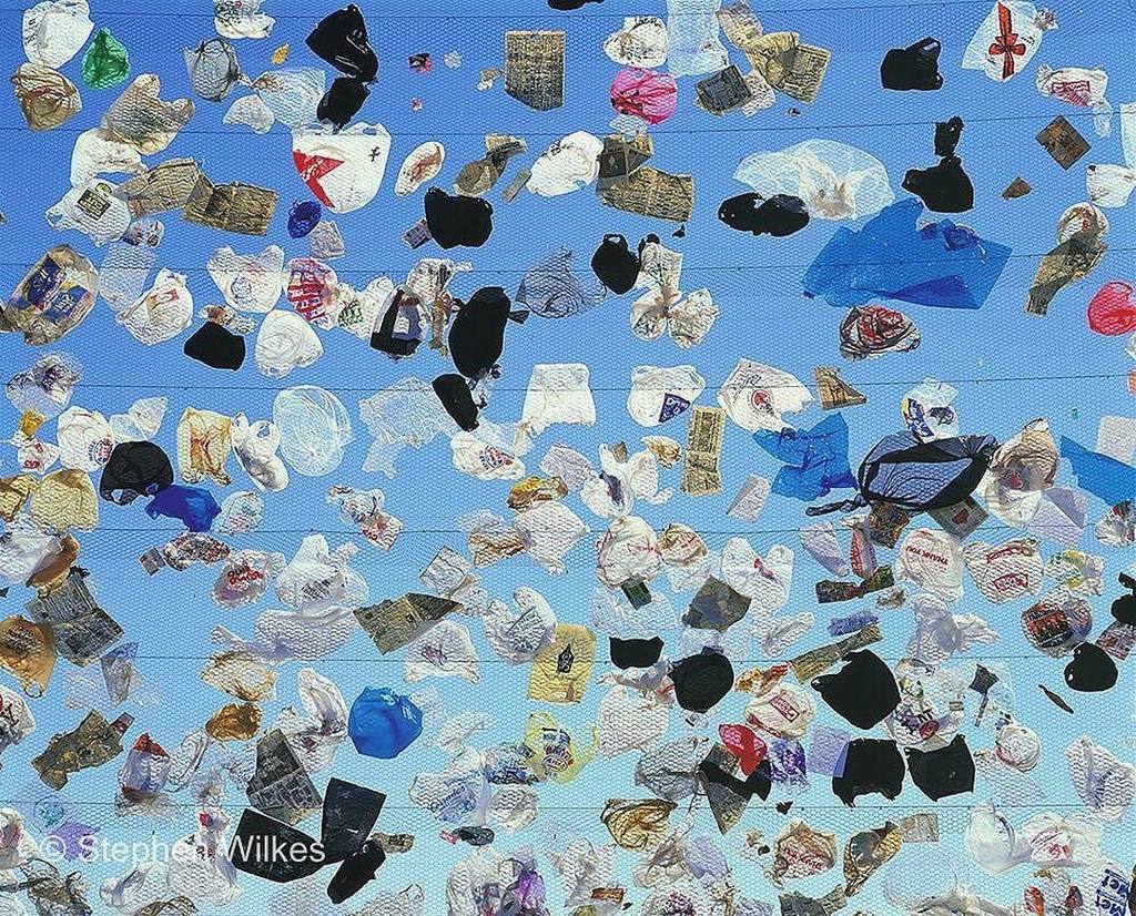 OceanicGlobal's tweet image. It is our choices that define us - and, "no matter what we choose to do in life, we can do it in a way that preser… ift.tt/2oukxRR