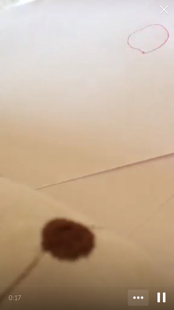 Larder66's tweet photo. .@bunnygirl_3207 on #Periscope: Me drawing random stuff ❤️ https://t.co/FYqWaApO92 https://t.co/7Ak5AJt0mS