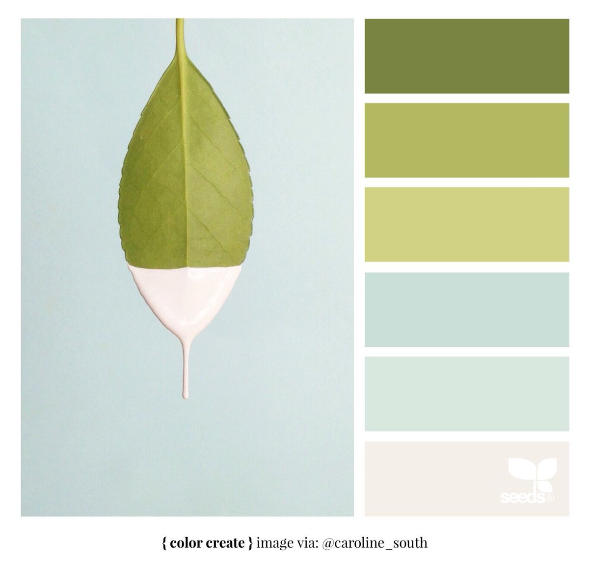 shayfrom_thebay's tweet image. Color Palette of The Day: Color Create #DesignSeeds #Color