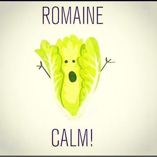 fucerks's tweet image. How'd you spend your weekend, Frannie? Oh I don't know maybe laughing at this little gem for about 48 hours. #dang #lol