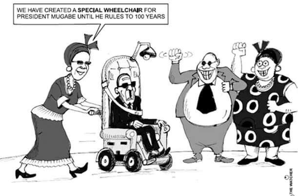 View image on Twitter