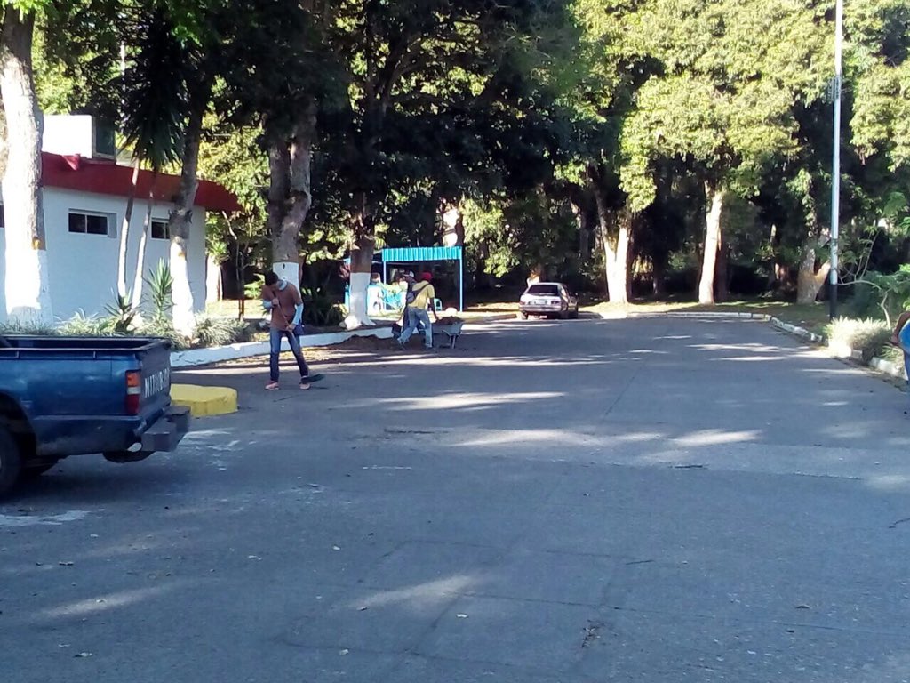 gdcmon's tweet photo. AHORA| La Gob. @yelitzePSUV_ despliega la Revolución Ambiental en #Caripe adecuando espacios para el pueblo ¡Revolucionarios trabajando! https://t.co/KuQe3Nep5M