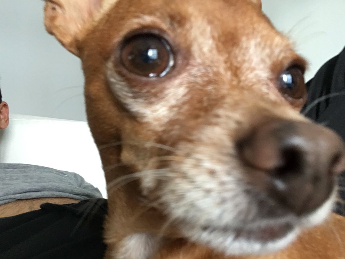84Espaco's tweet photo. 🐾🐾🐾🐾🐾🐾 https://t.co/yCqSuqhOhp