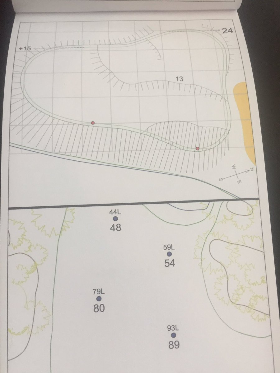 This is a tough one....guess the green???