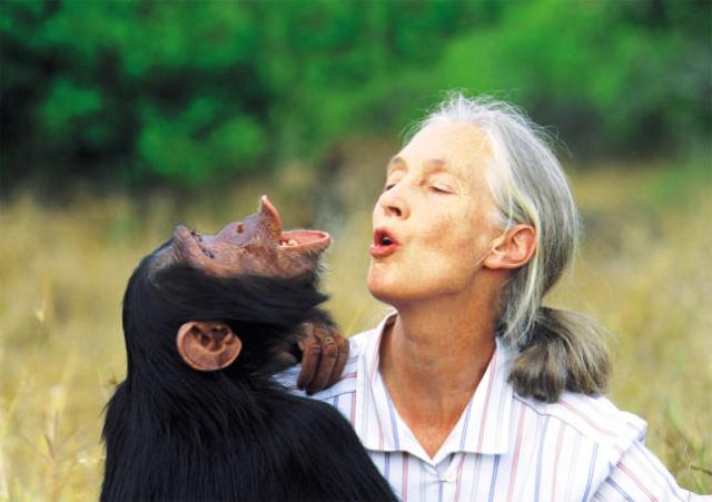 Happy birthday, Jane Goodall! 