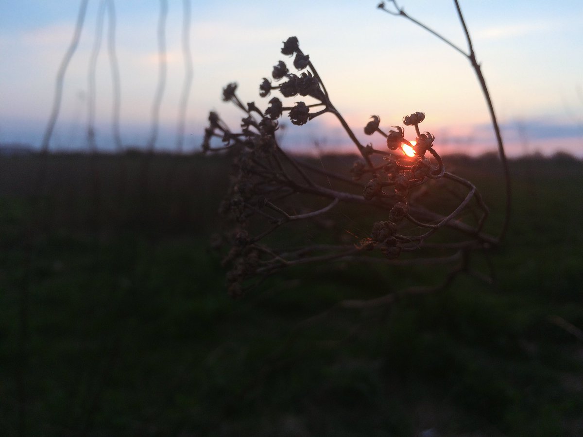 emltrash's tweet photo. » sunset « https://t.co/VeVl1a0VjI
