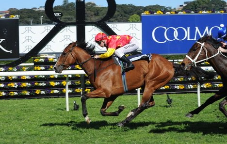 aus_turf_club's tweet photo. A quality full field of 18 for Group 1 @CoolmoreAus Legacy @royalrandwick @ChampionshipsRR https://t.co/emeLMTenqT
