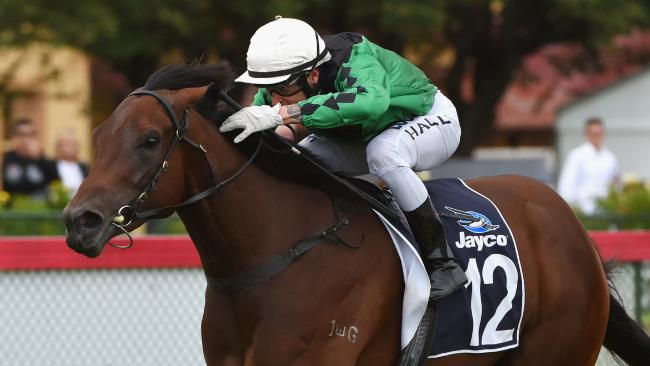 aus_turf_club's tweet photo. A quality full field of 18 for Group 1 @CoolmoreAus Legacy @royalrandwick @ChampionshipsRR https://t.co/emeLMTenqT