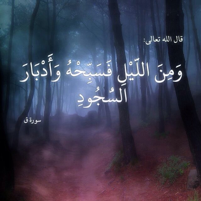 Dr_alqarnee's tweet image. 🌷ومن الليل فسبّحه🌷
إذا نام الناس فسبّح الحي القيوم الذي لاتأخذه سنة ولانوم لتنفرد بعبودية التسبيح وقت الغفلة فتكون متميزاً فائزاً.
#سبح_معنا