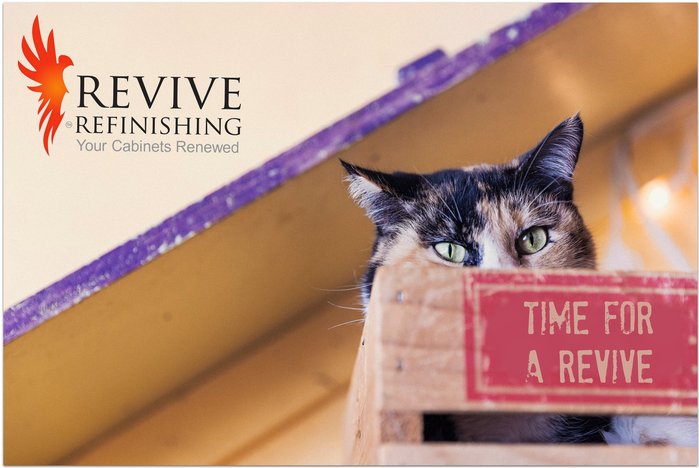 Do your ugly kitchen cabinets make you want to find a place to hide?

REVIVE... (more:shoplocal.ly/43sxm)