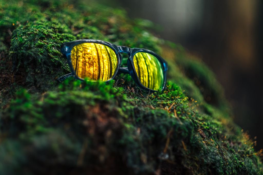 fuselenses's tweet image. Get Lost.
📷: epochschmidt

#FusePlus #Cascade #ExploreMore