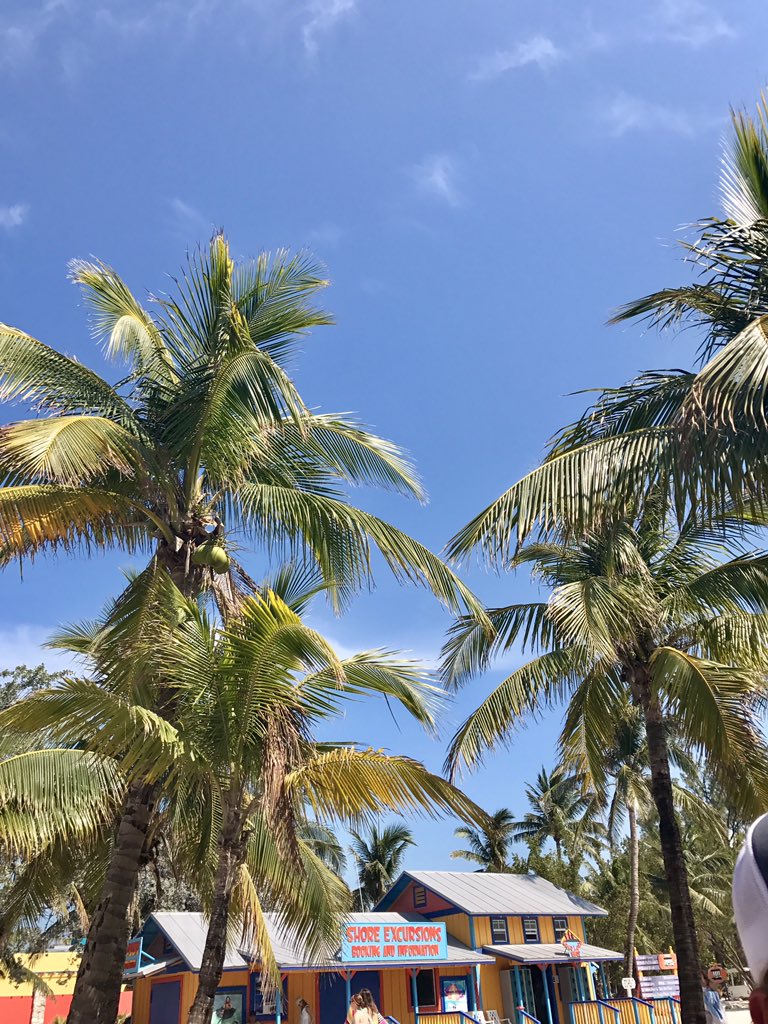 koldamadison's tweet photo. Bahamian adventures https://t.co/0RvHremfAV