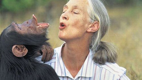 Happy birthday to UN Messenger of Peace Dame Jane Goodall. 