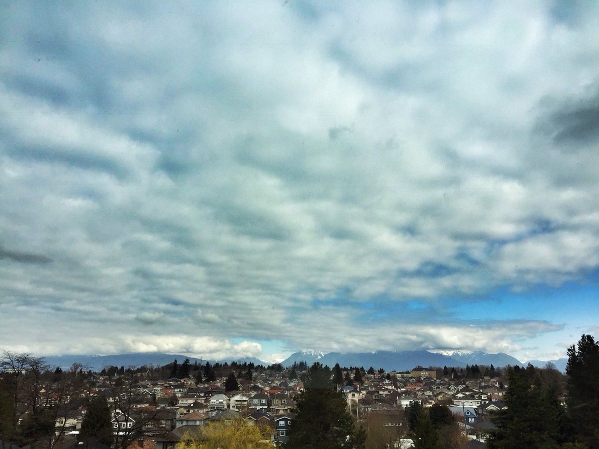 TheStranger2014's tweet image. #Grateful to be a #HumanBook .@langaracollege for the #nurses of tomorrow! Great dialogue &amp;amp; questions about #depression &amp;amp; #MentalHealth