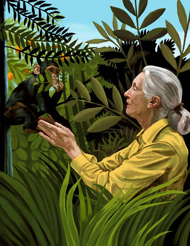 También un 3 de abril nació la primatóloga Jane Goodall Happy Birthday 