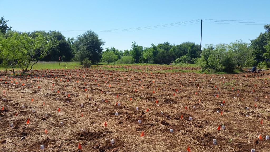 nora_flora10's tweet image. #fieldworkfun