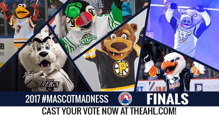keebler46's tweet photo. The final #MascotMadness round has been set and voting is underway! Help crown the 2017 AHL Top Mascot!  - https://t.co/7anChyO06L https://t.co/cKbZJNYc1x