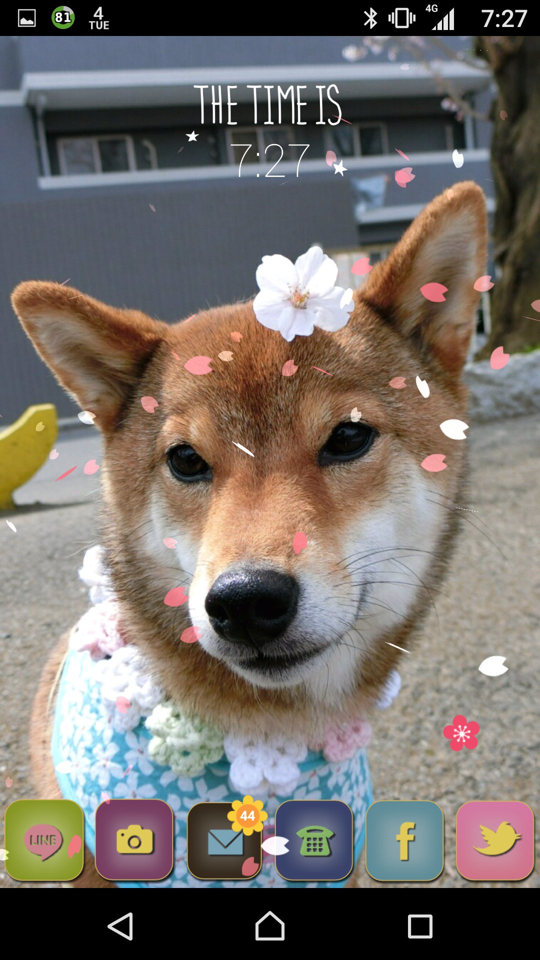 柴犬 日向 Spring Has Come スマホ待受 T Co B8h75jlitv Twitter