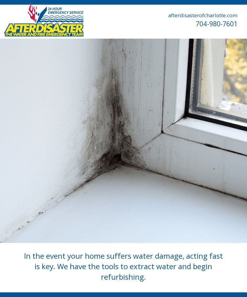 ADmetro247's tweet photo. #moldremoval #waterdamage #firedamage https://t.co/Q5XK8oHVLs https://t.co/rGwG5G7WT1