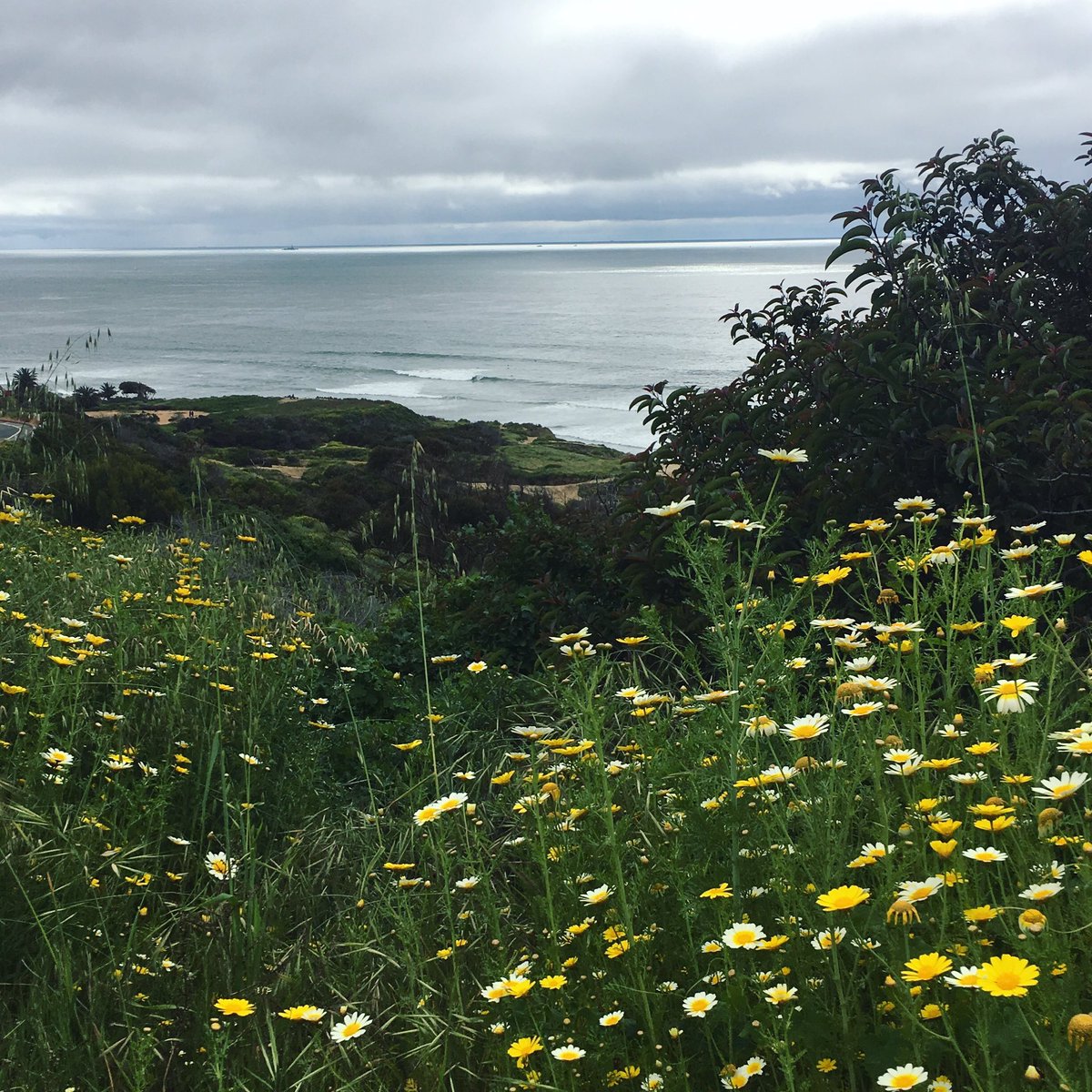 Is there any such thing as a bad view from campus? #plnu #pointloma #sandiego #viewsfromthecommuterlot instagram.com/p/BScOzgwjwa9/
