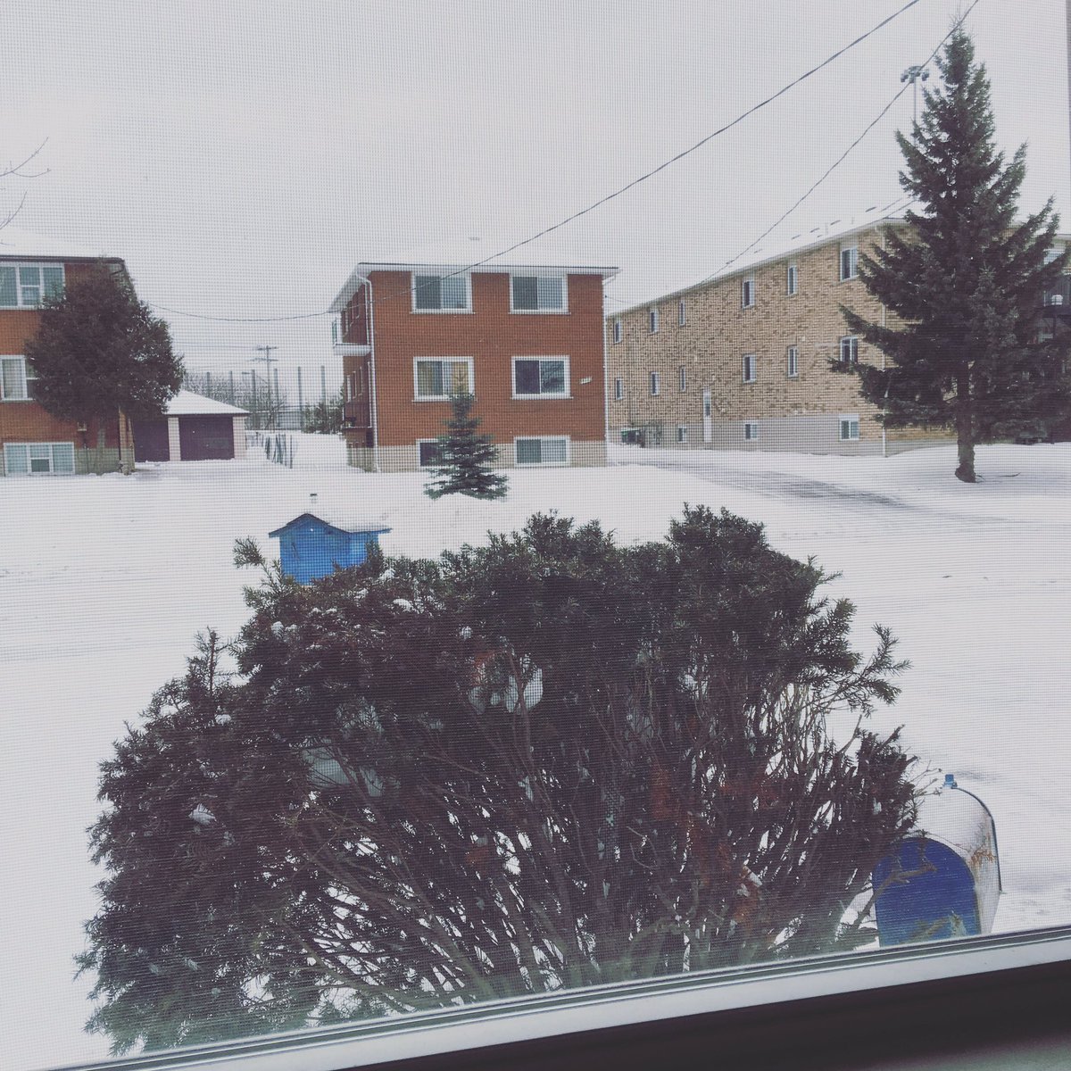 CreativeImpulse's tweet photo. Monday morning scenes! πβοΈπ¨βοΈ
#myworkplace #snow #peace #wintersincanada #worklifefun #white #morningblues #weatherincanada #snowfall #cold https://t.co/pNLxWsbCz1
