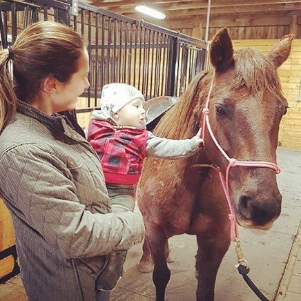 Honest Horsemanship tweet media
