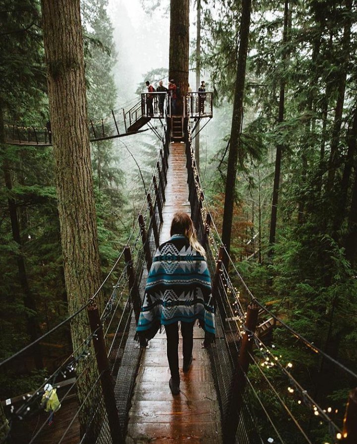 fallenzje's tweet image. 